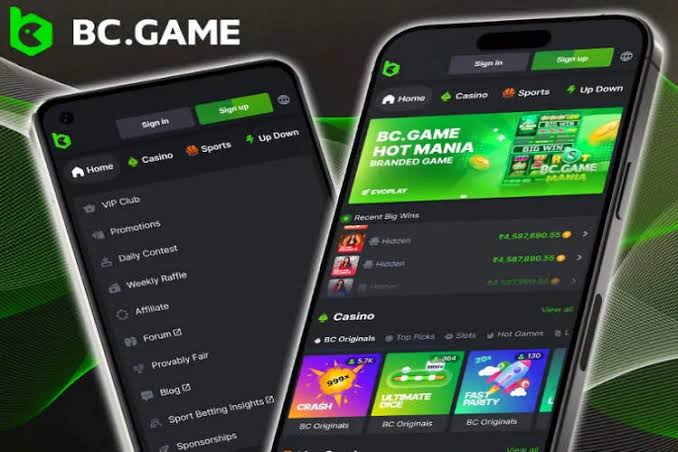 BC.Game Casino Afrique  Un Guide Complet pour les Joueurs