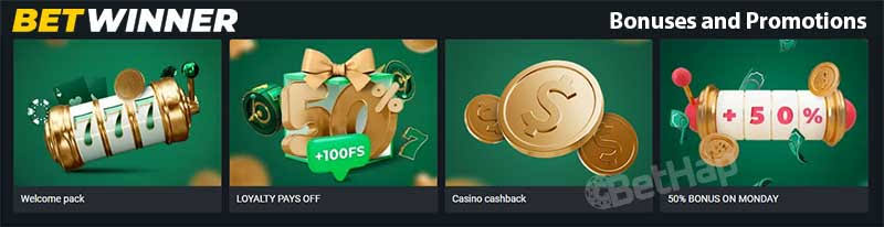 Explore the Thrilling World of BetWinner Sportsbook